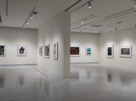 Navigating the Art Market: A Business Guide for Aspiring Collectors