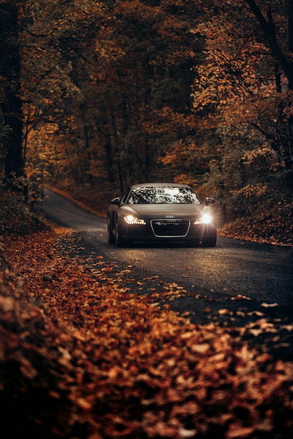 a Ultra-Luxury Car driving in a forest road during autumn