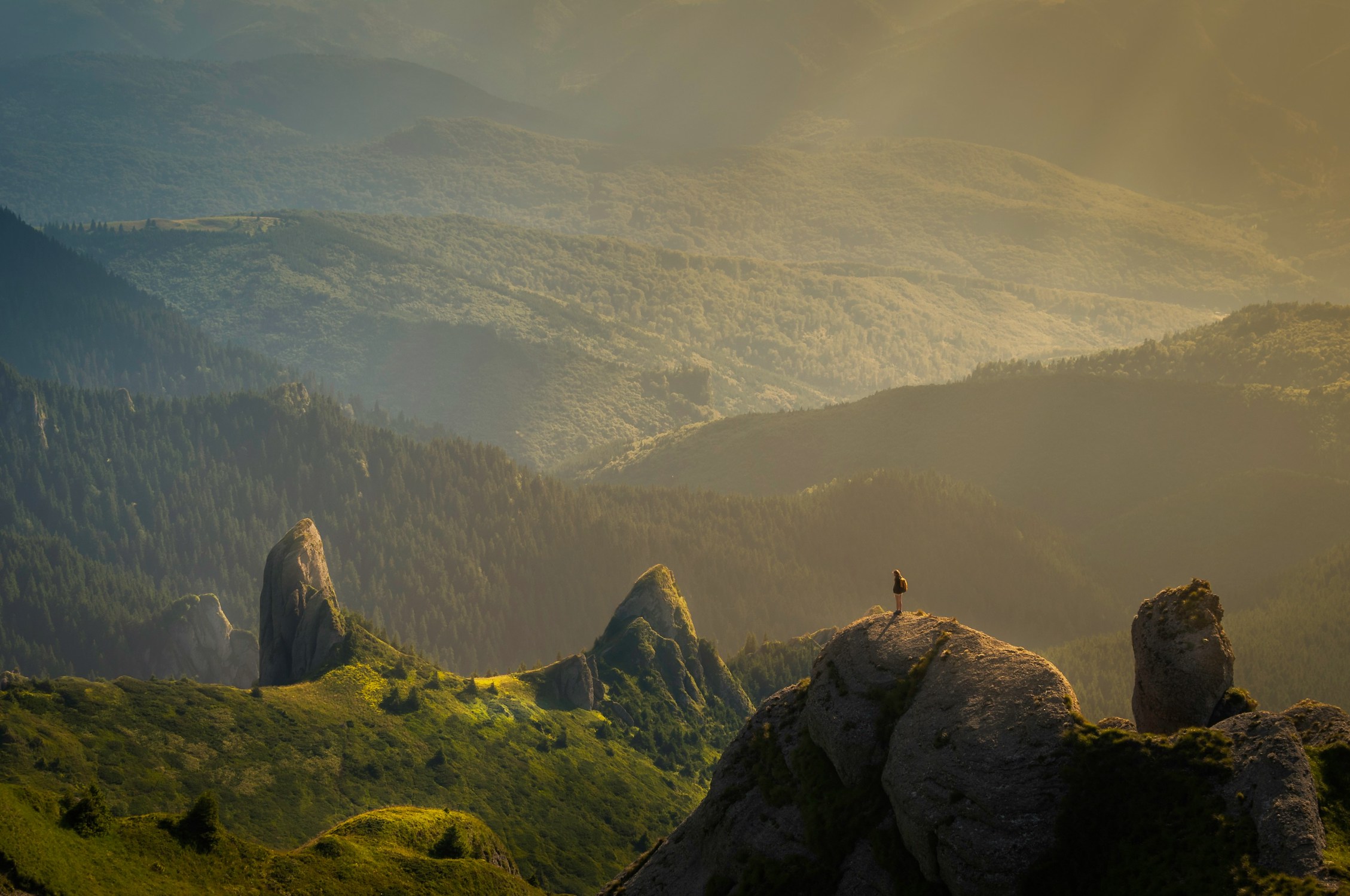 david-marcu-78A265wPiO4-unsplash